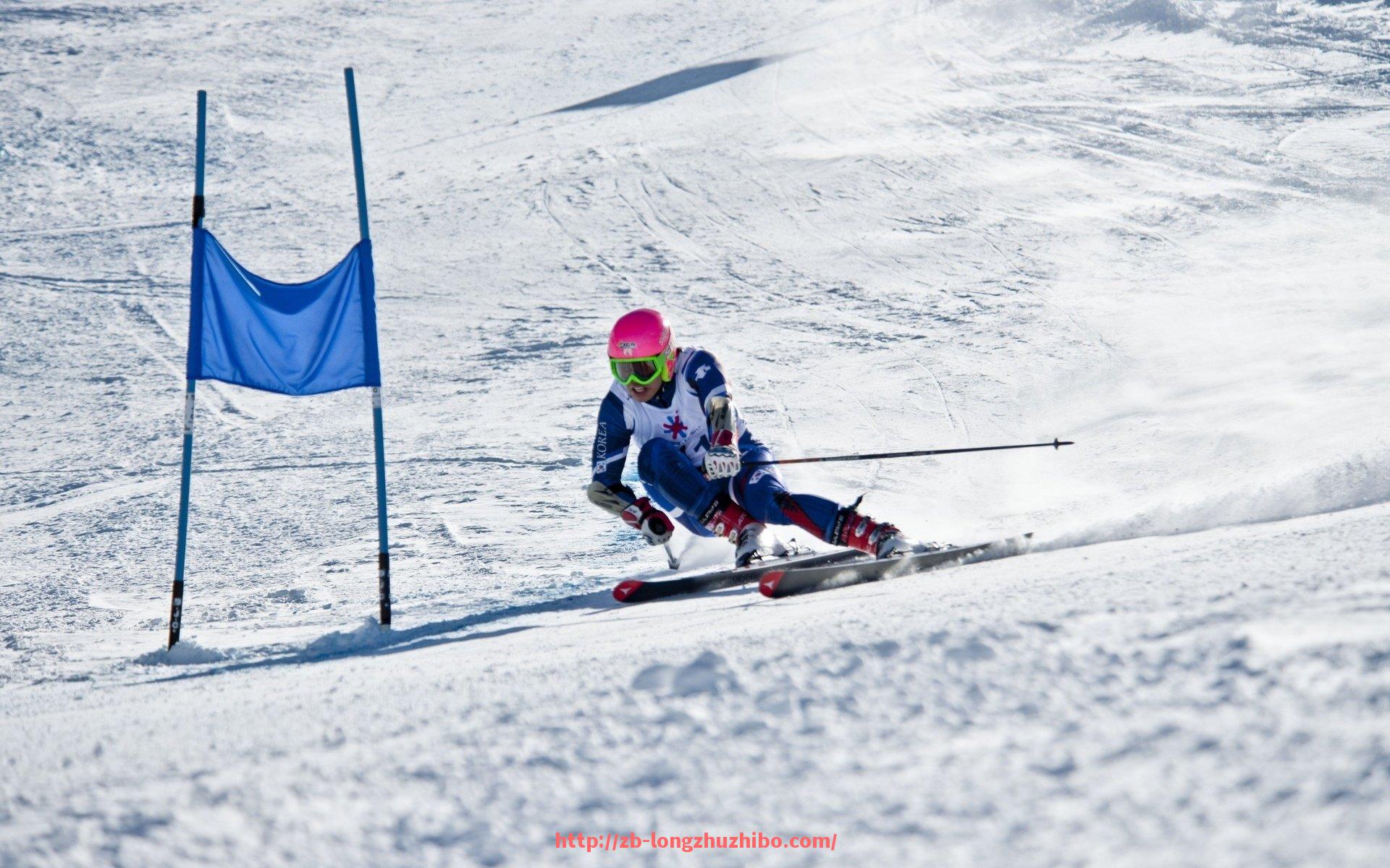 龙珠直播-火箭队篮球装备价格及购买指南详解