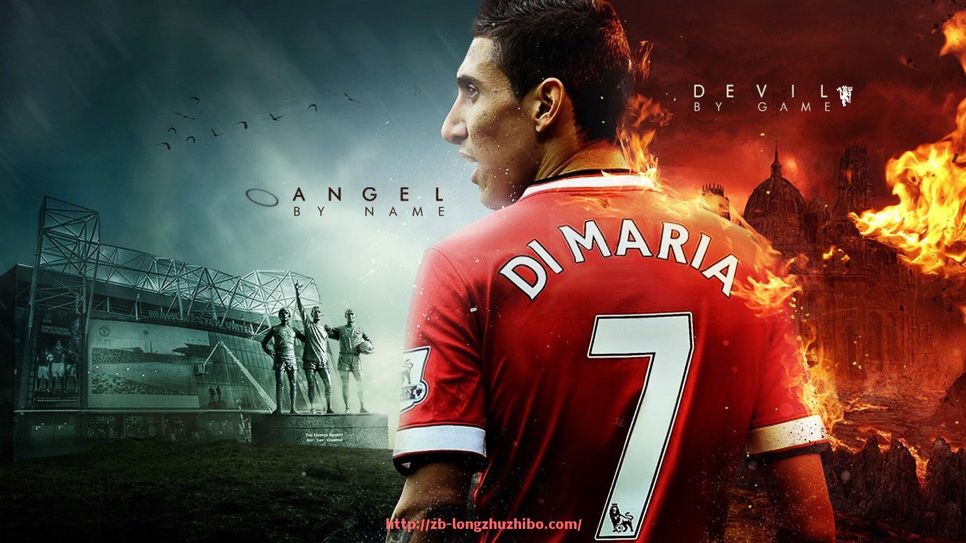 龙珠直播-火箭队篮球装备价格及购买指南详解